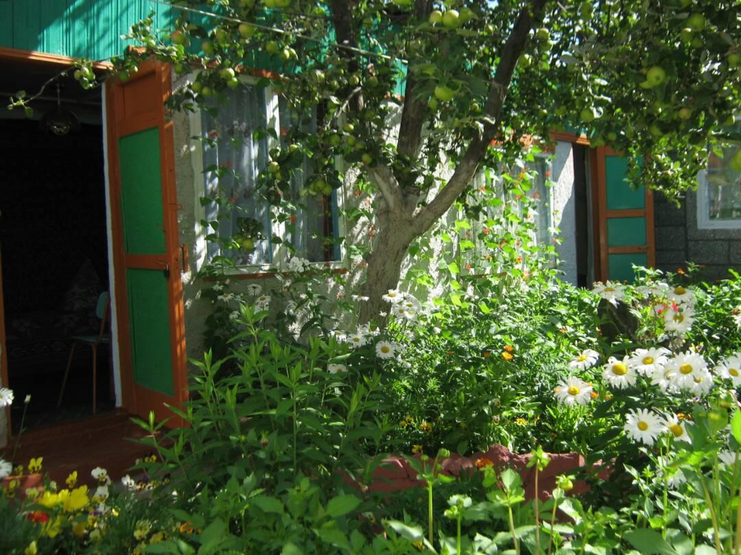 Olga Guest House Tscholponata Exterior foto