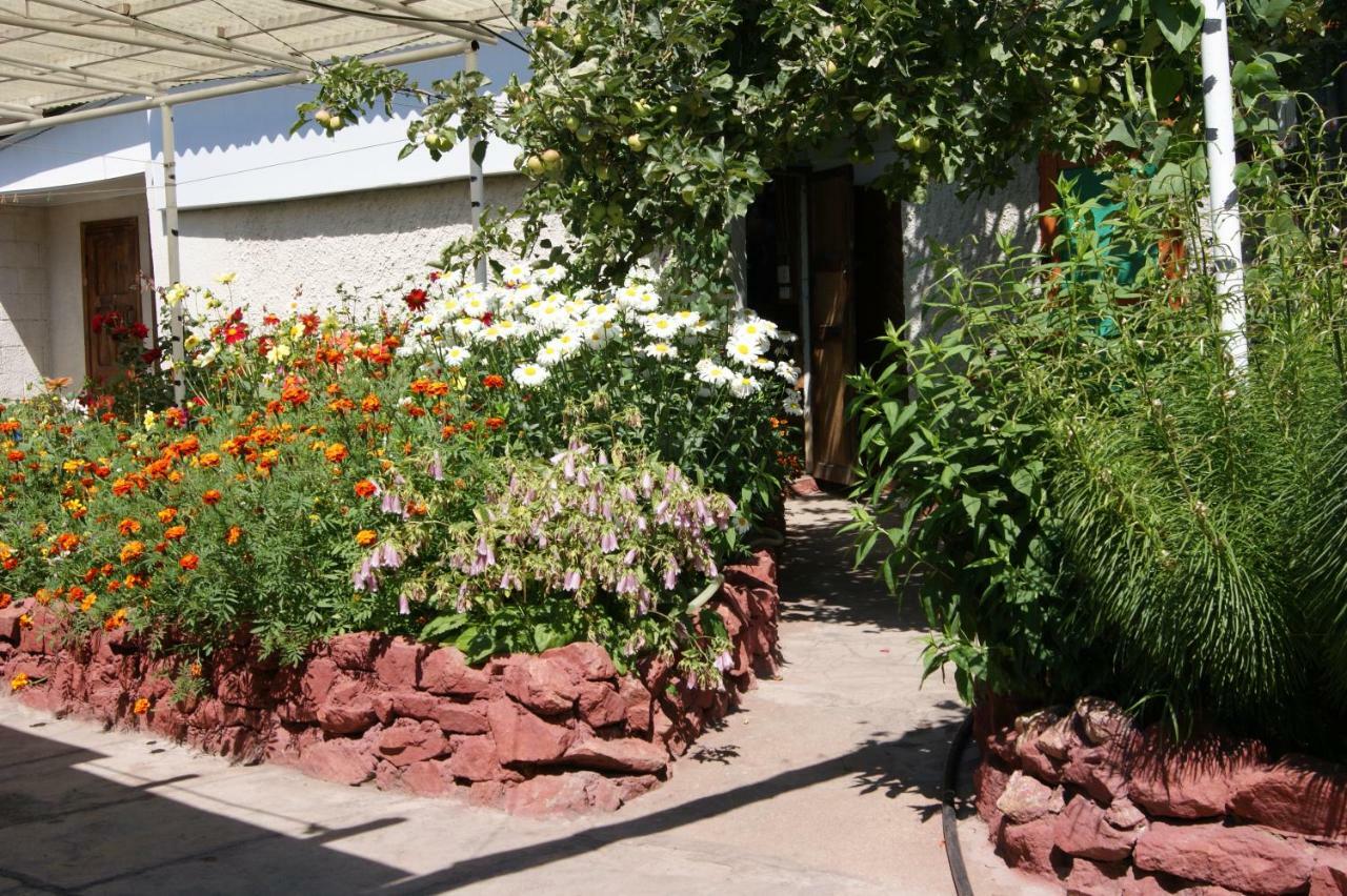Olga Guest House Tscholponata Exterior foto